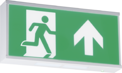 230V IP20 Wall Mounted LED Emergency Exit sign (maintained non-maintained) For Cheap